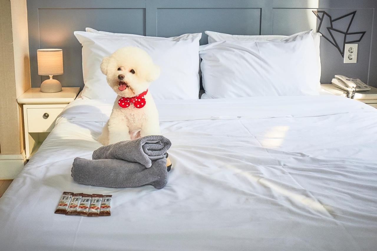 Hotel Poco Seongsu سيول المظهر الخارجي الصورة